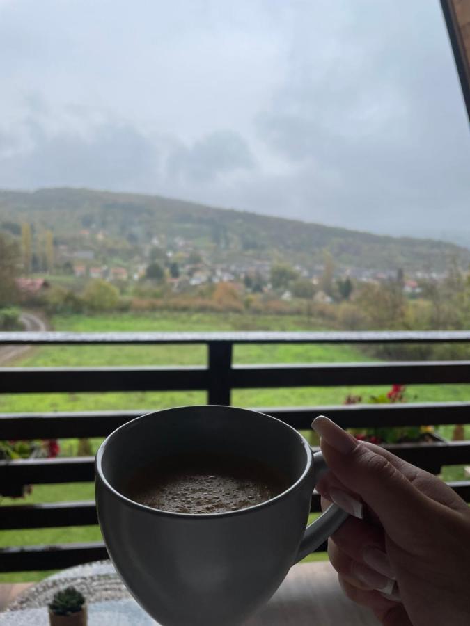 Vila Grujic Vrdnik Zewnętrze zdjęcie